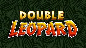 Game Double Leopard